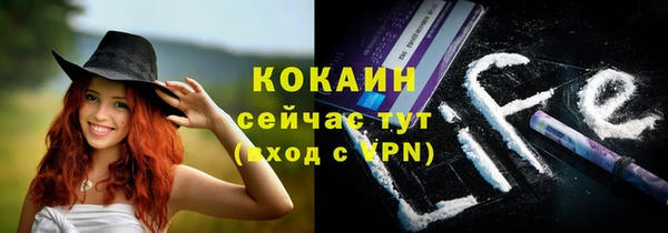 дживик Каменногорск