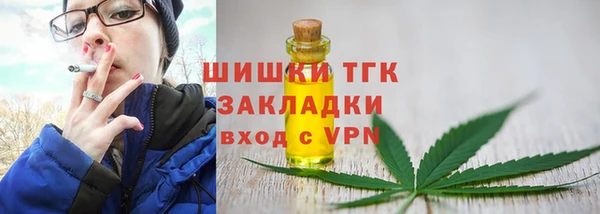 дживик Каменногорск