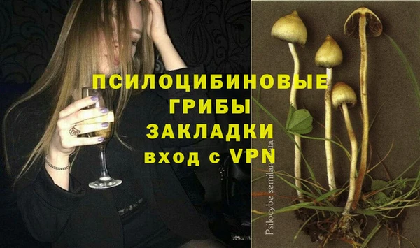 соль курить ск Каменка