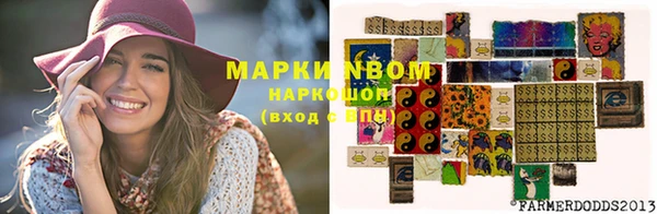 дживик Каменногорск